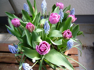 pot_spring 001.jpg